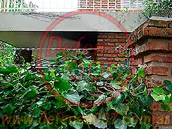 Instalación de concertina lineal sobre cerco vivo.