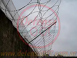 Instalación de concertina plana de 45 cm en doble capa sobre muro, inclinada a 60°.