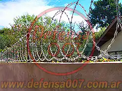 Instalación de concertina plana de 45 cm sobre muro. Vista oblicua. Detrás una casa y árboles.
