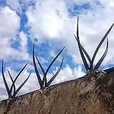 Pinches de seguridad para medianeras.